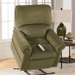 Serta Pwr Lift Chair